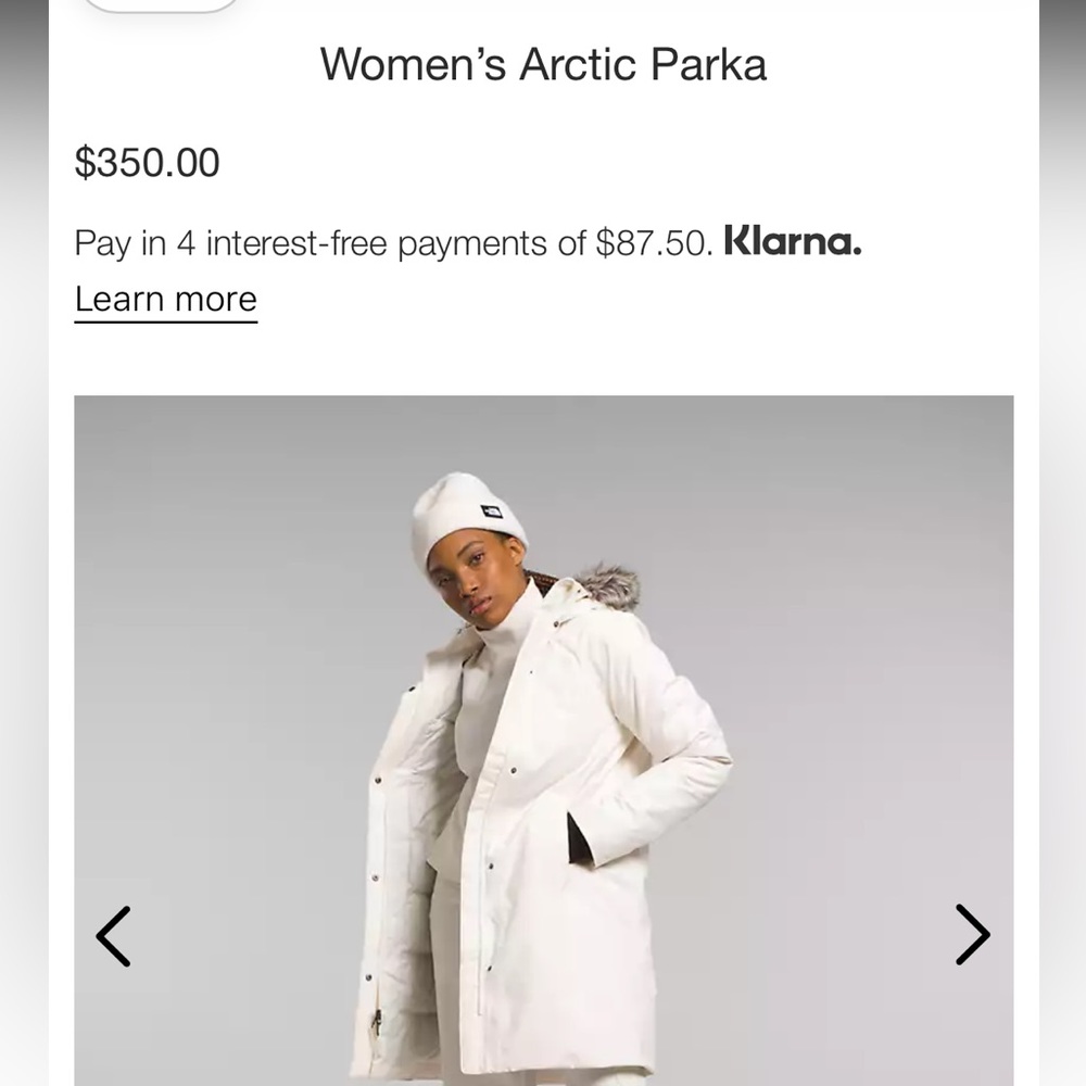 North face Arctic Puffer